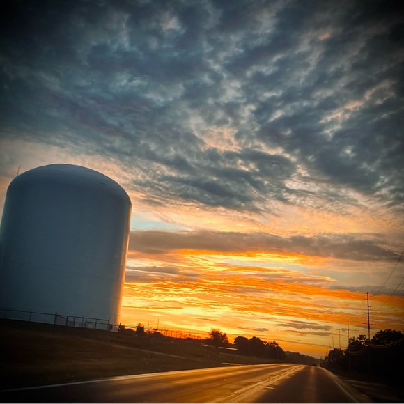 Meet the Posher❤️ - Picture 7 of 13